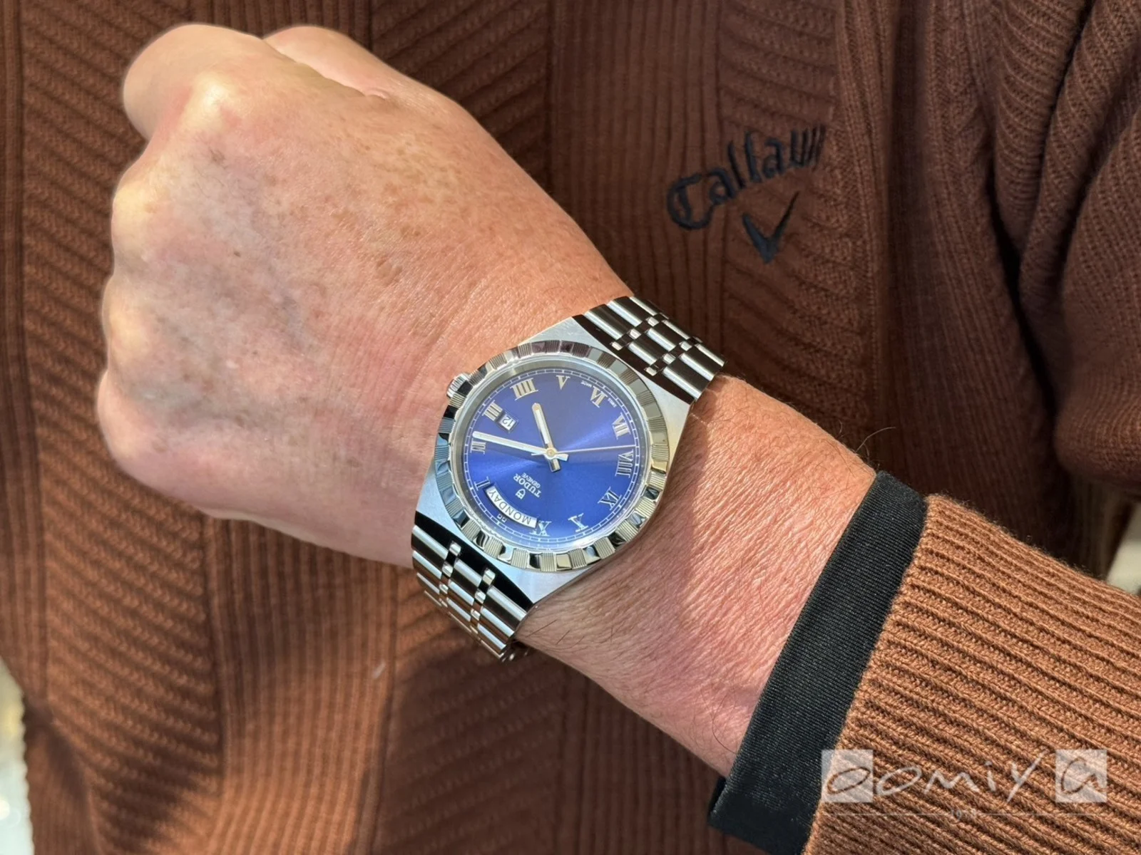 お客様の声：2026年01月15日S.N 様 チューダー | 京都店 – oomiya 公式