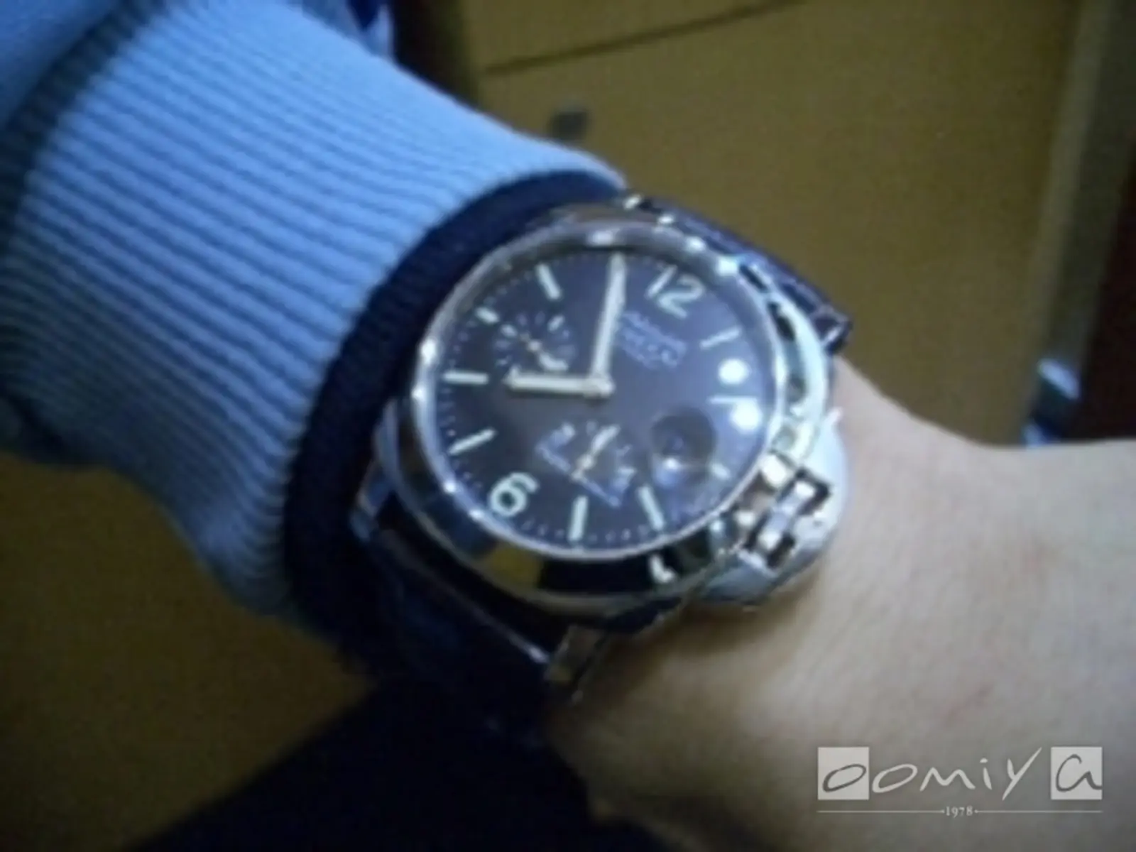 お客様の声：2005年02月25日劇団ひとり&中村獅童様 パネライ | 和歌山本店