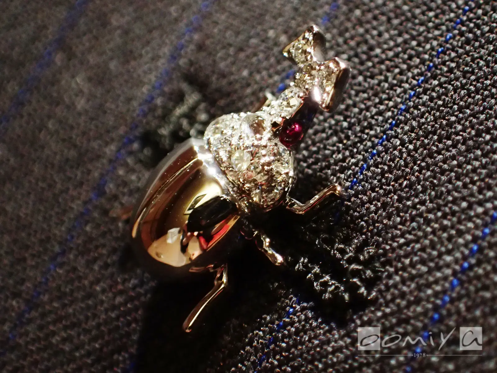 お客様の声：2016年04月10日K 様 チャー | 和歌山本店