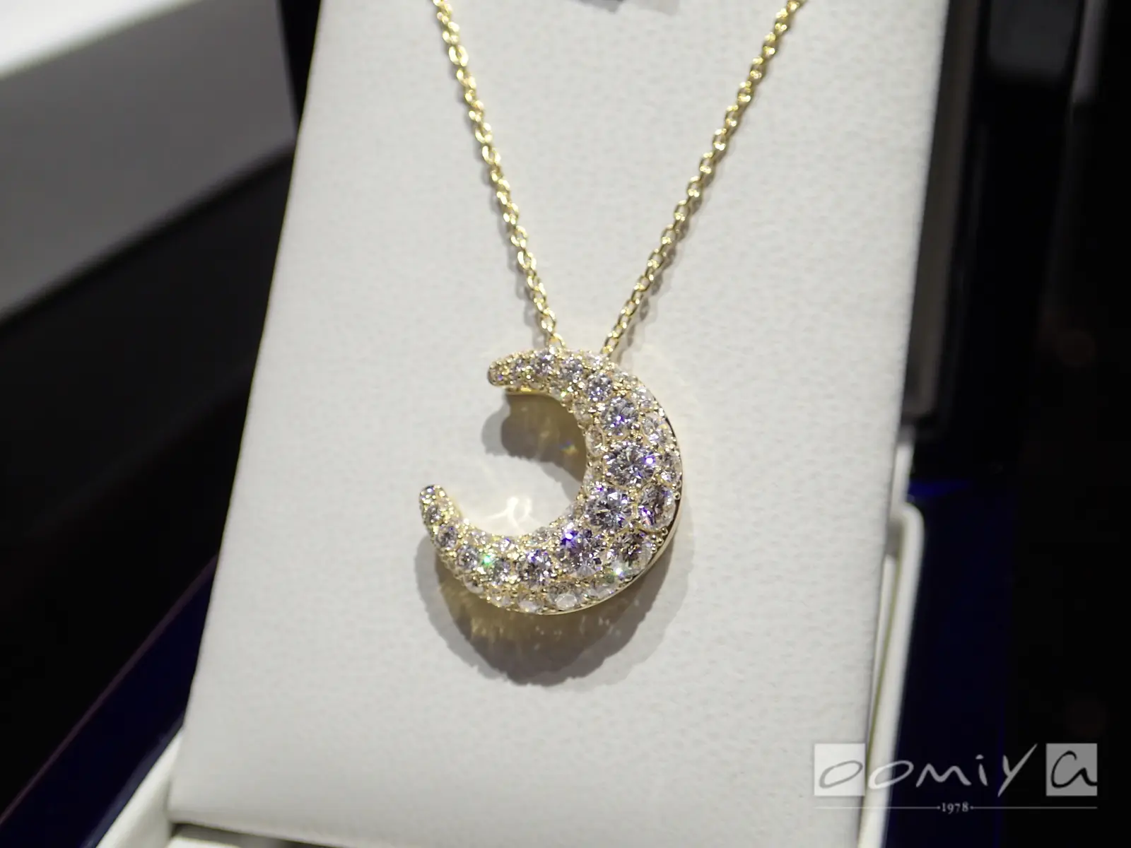 お客様の声：2016年04月29日M 様 チャー | 和歌山本店