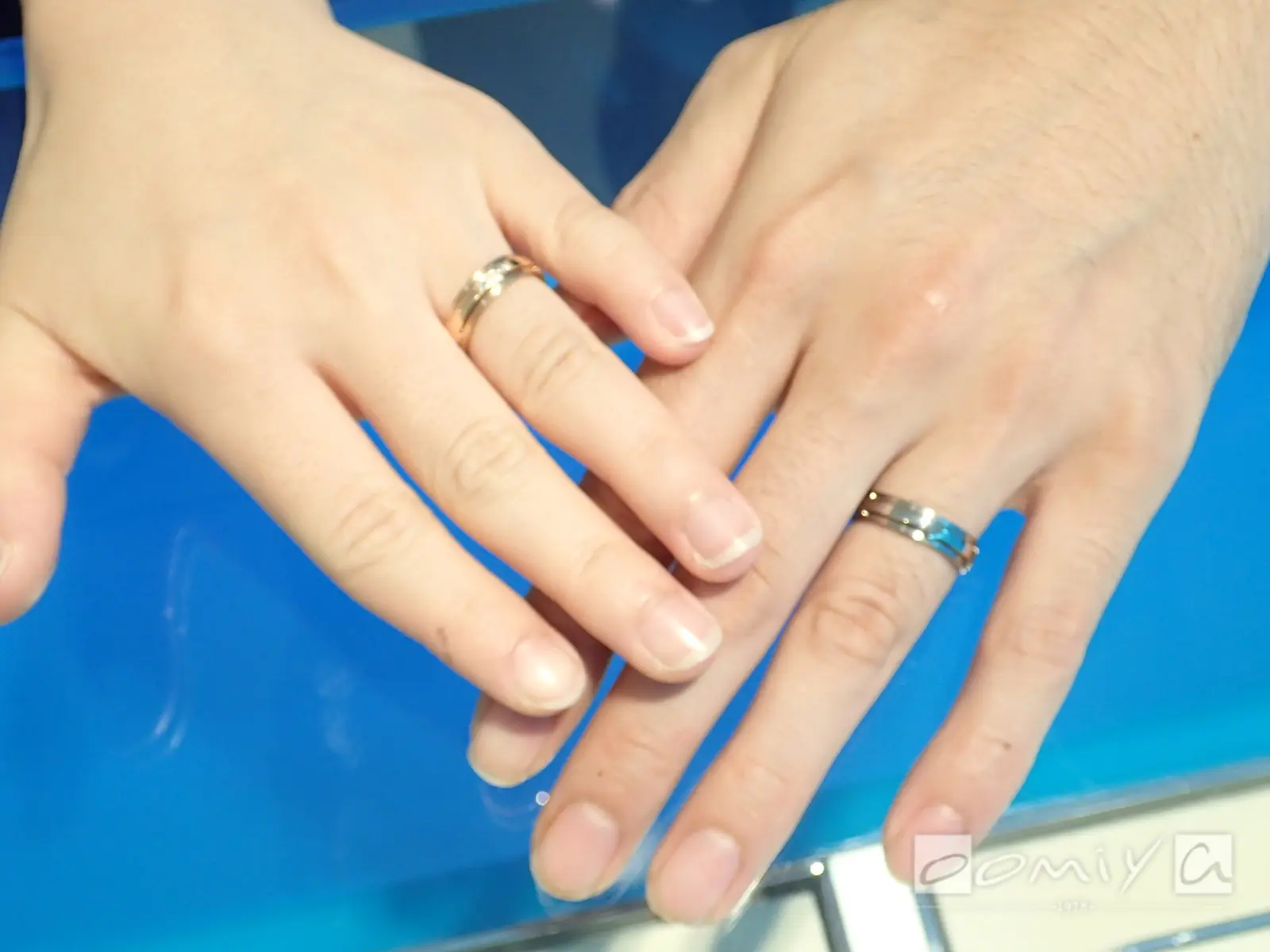 お客様の声：2017年06月17日H.M 様&C.M 様 フラー・ジャコー | 和歌山本店