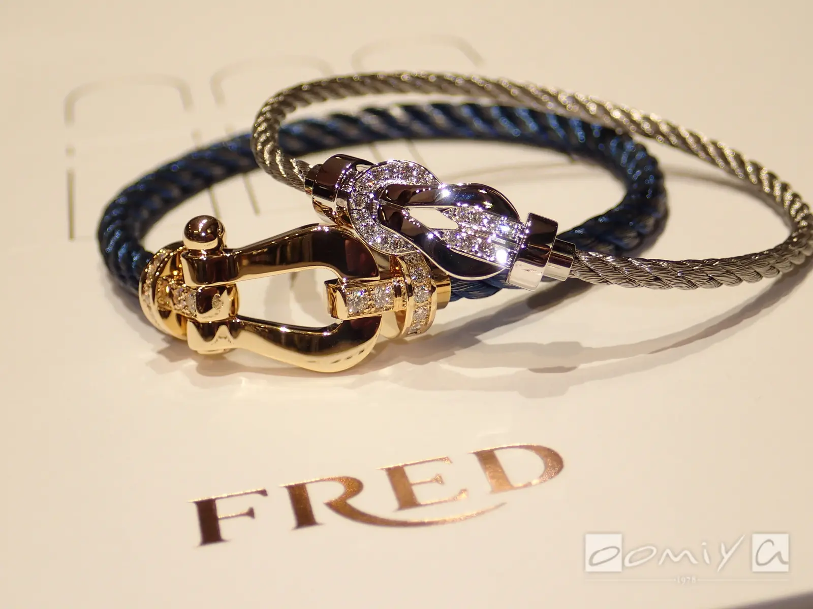 お客様の声：2020年01月19日謙司 様&淑子 様 フレッド | 和歌山本店