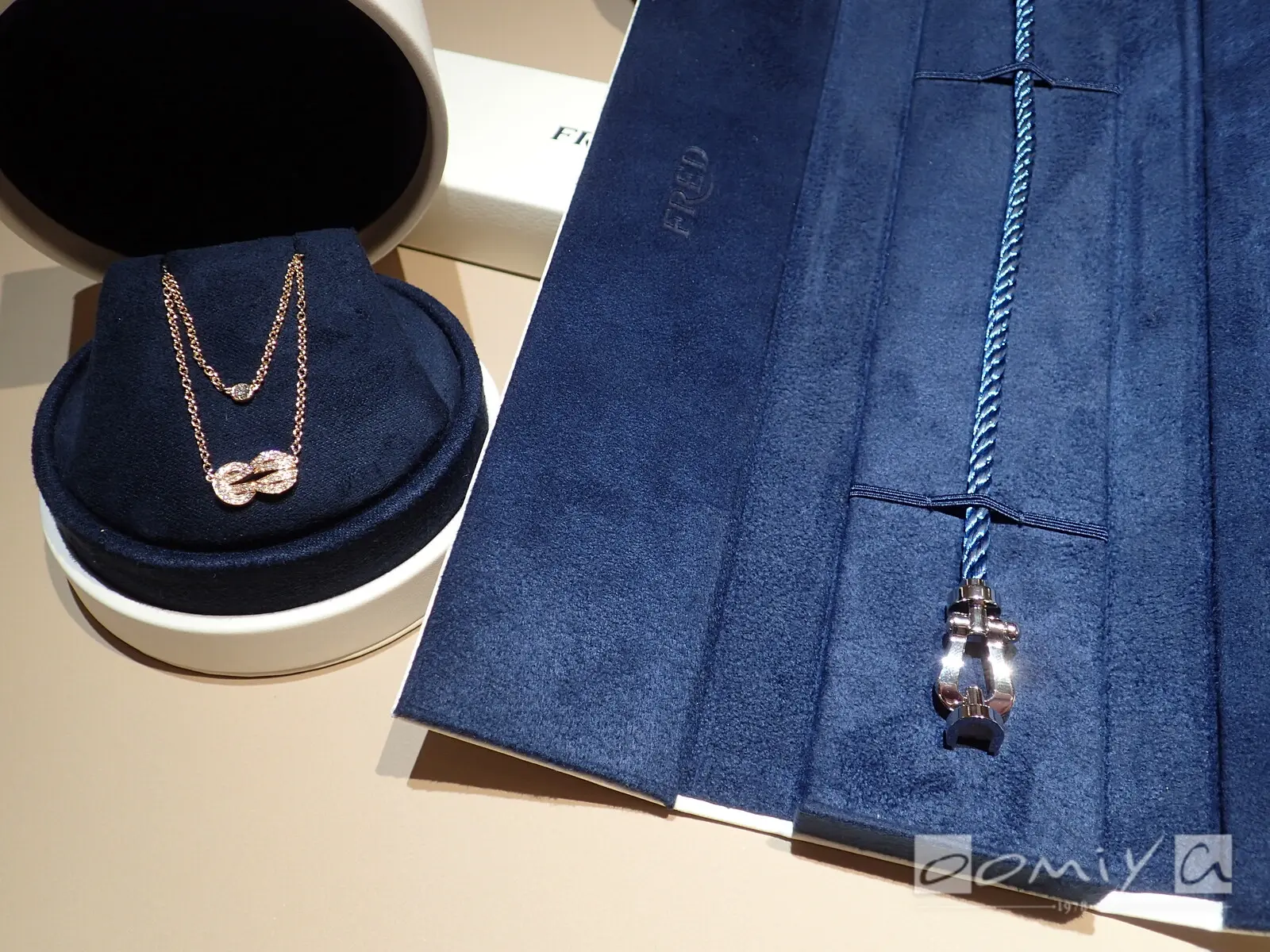 お客様の声：2020年04月29日Jack 様 フレッド | 和歌山本店