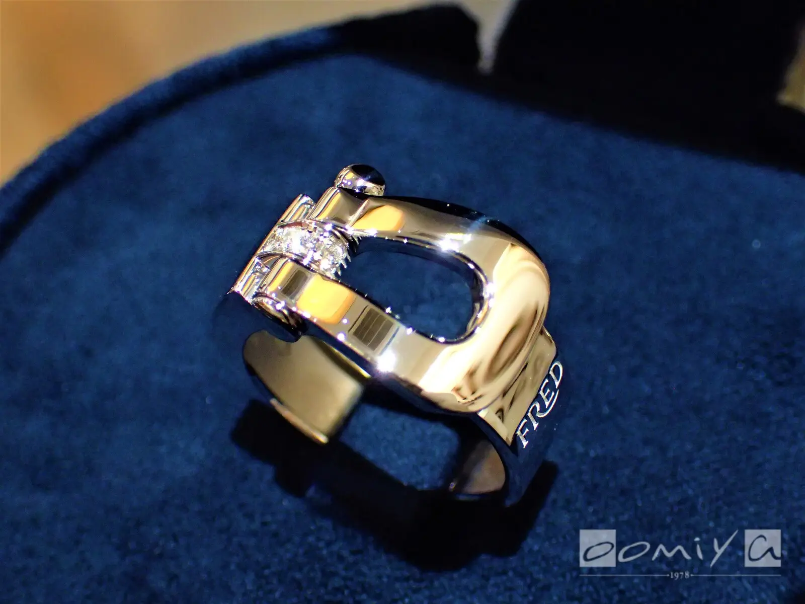 お客様の声：2020年05月17日A.K 様 フレッド | 和歌山本店