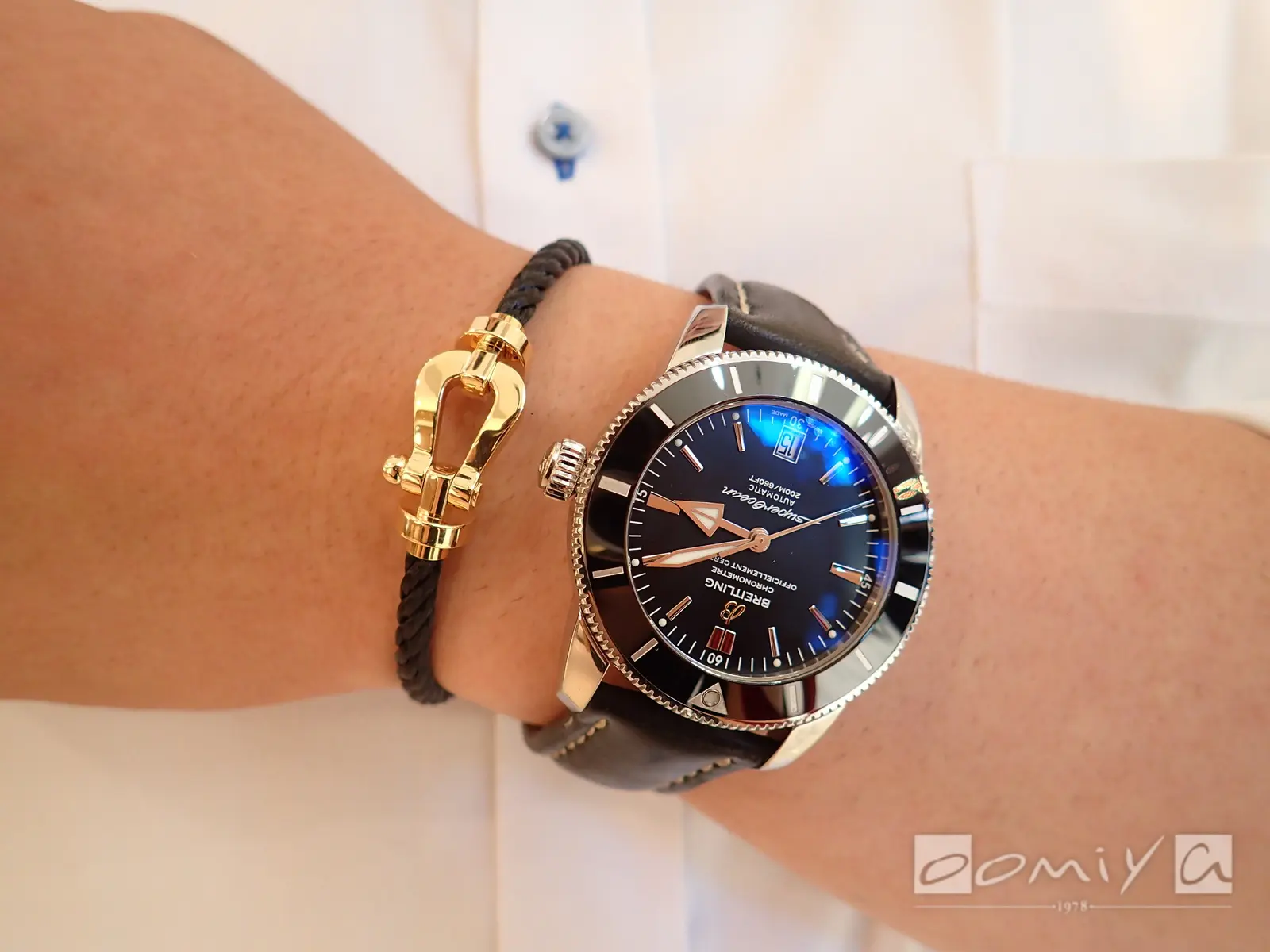 お客様の声：2020年08月15日だいき 様 フレッド | 和歌山本店