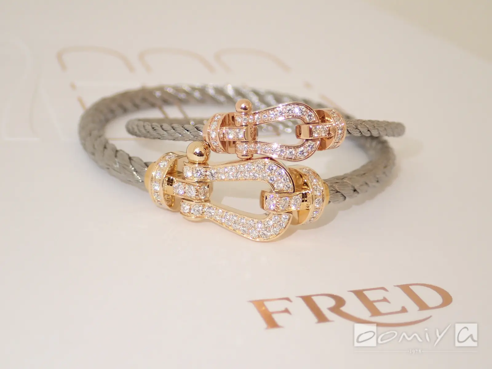 お客様の声：2020年11月07日K 様 フレッド | 和歌山本店