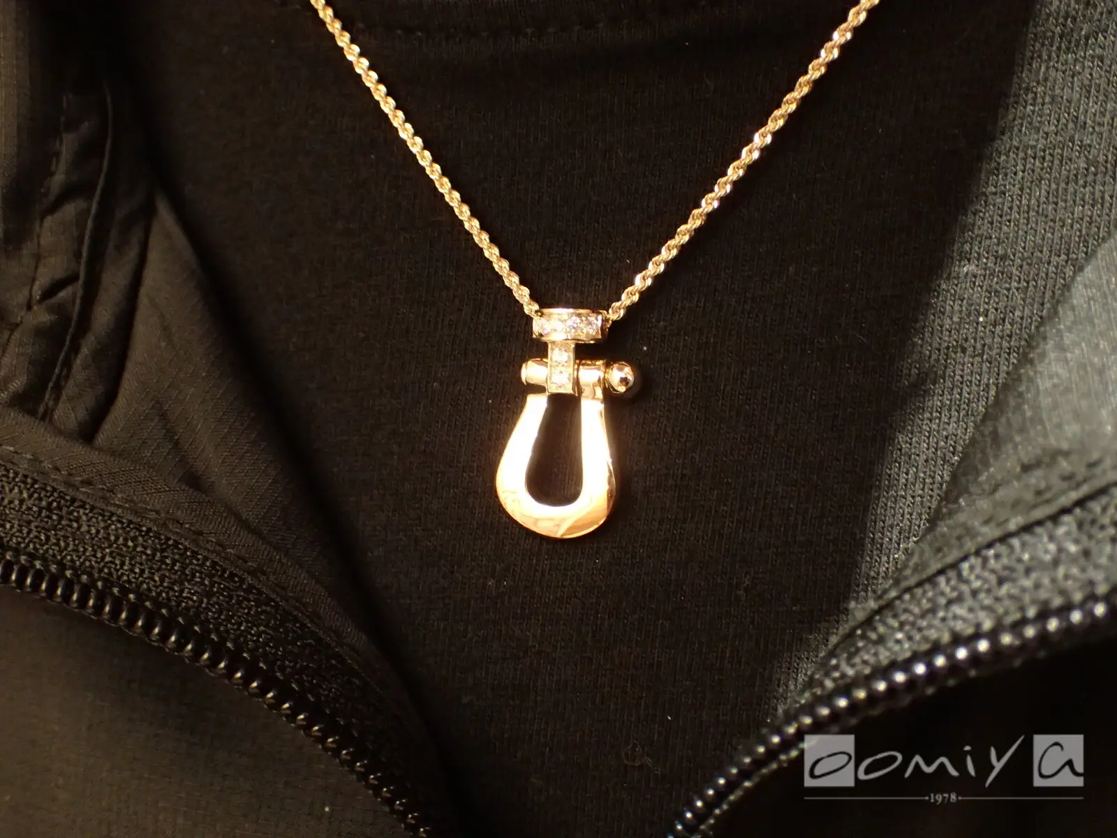 お客様の声：2020年11月03日N 様 フレッド | 和歌山本店