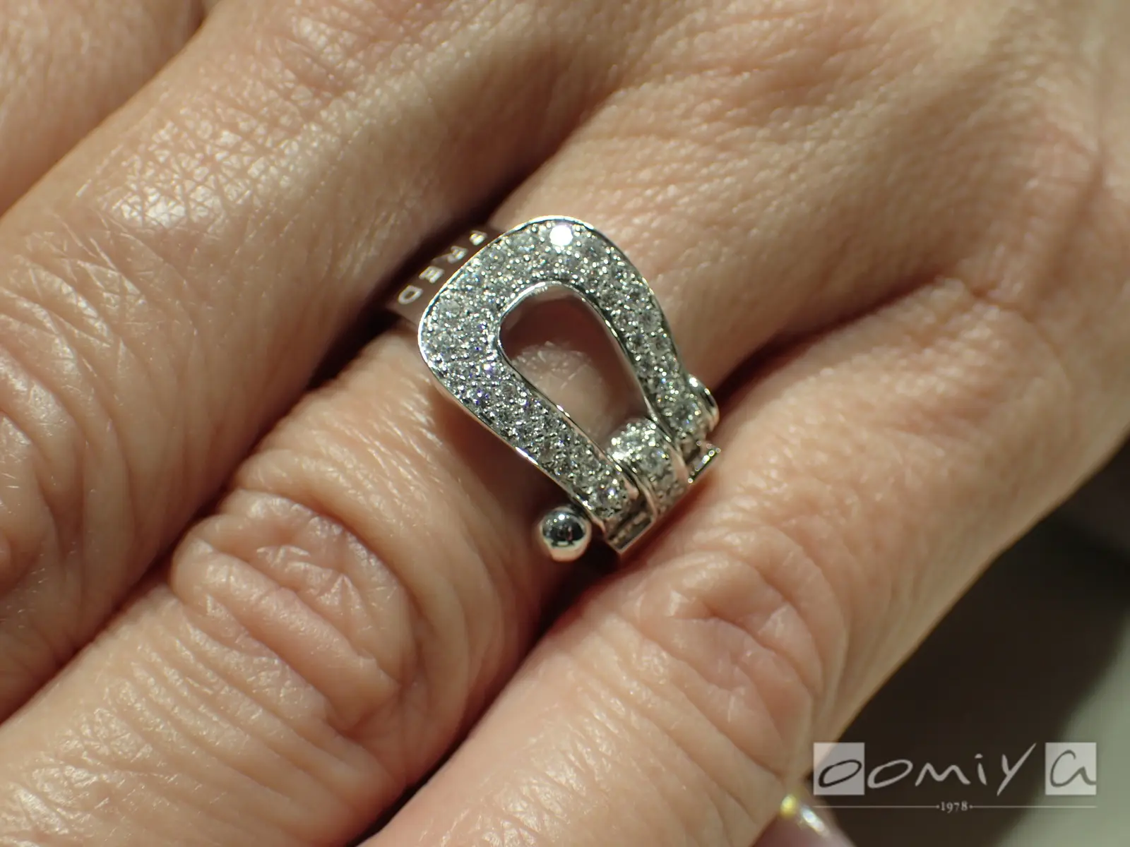 お客様の声：2021年01月12日M.K 様 フレッド | 和歌山本店