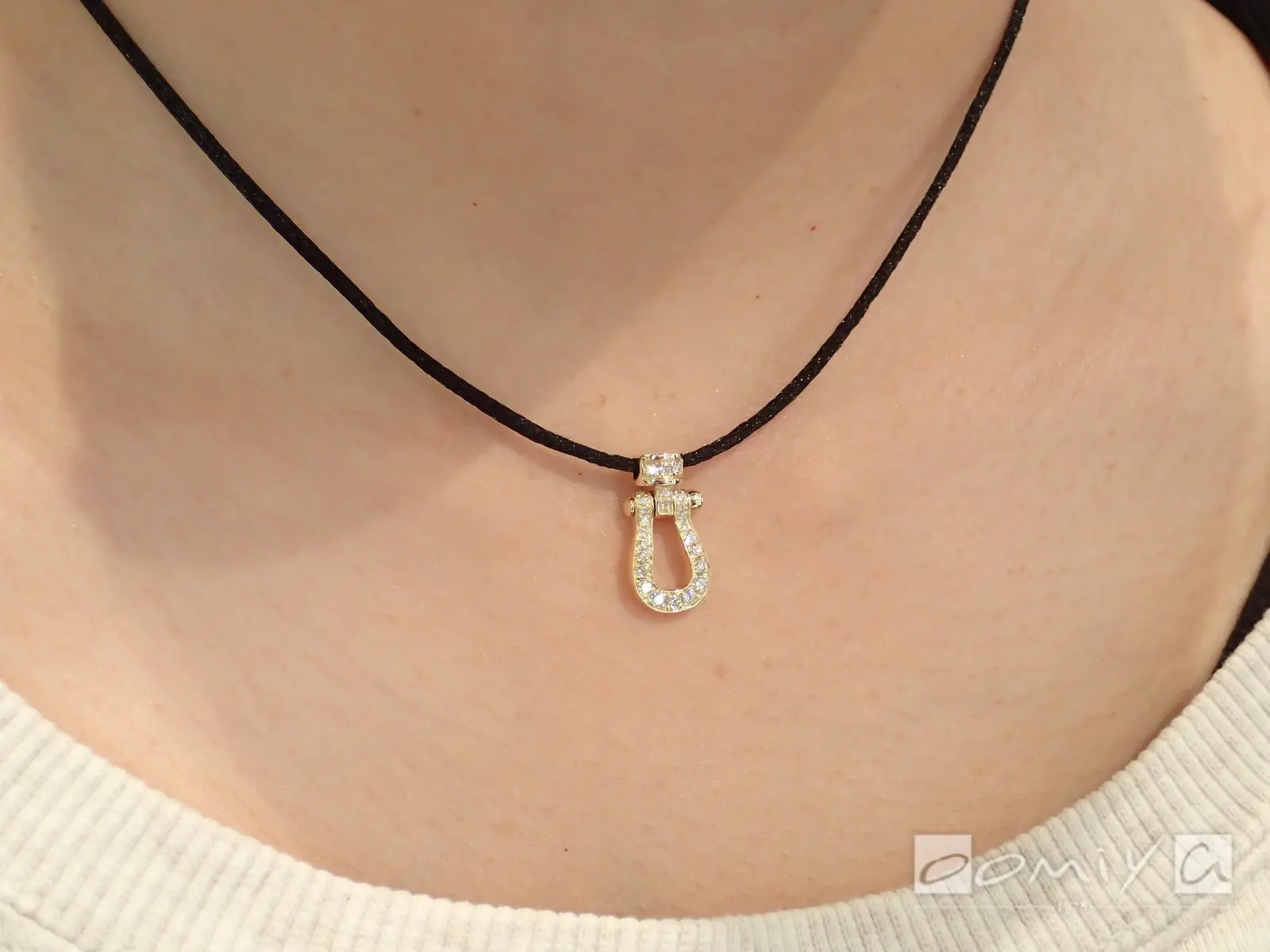 お客様の声：2021年04月25日ボンちゃん 様 フレッド | 和歌山本店