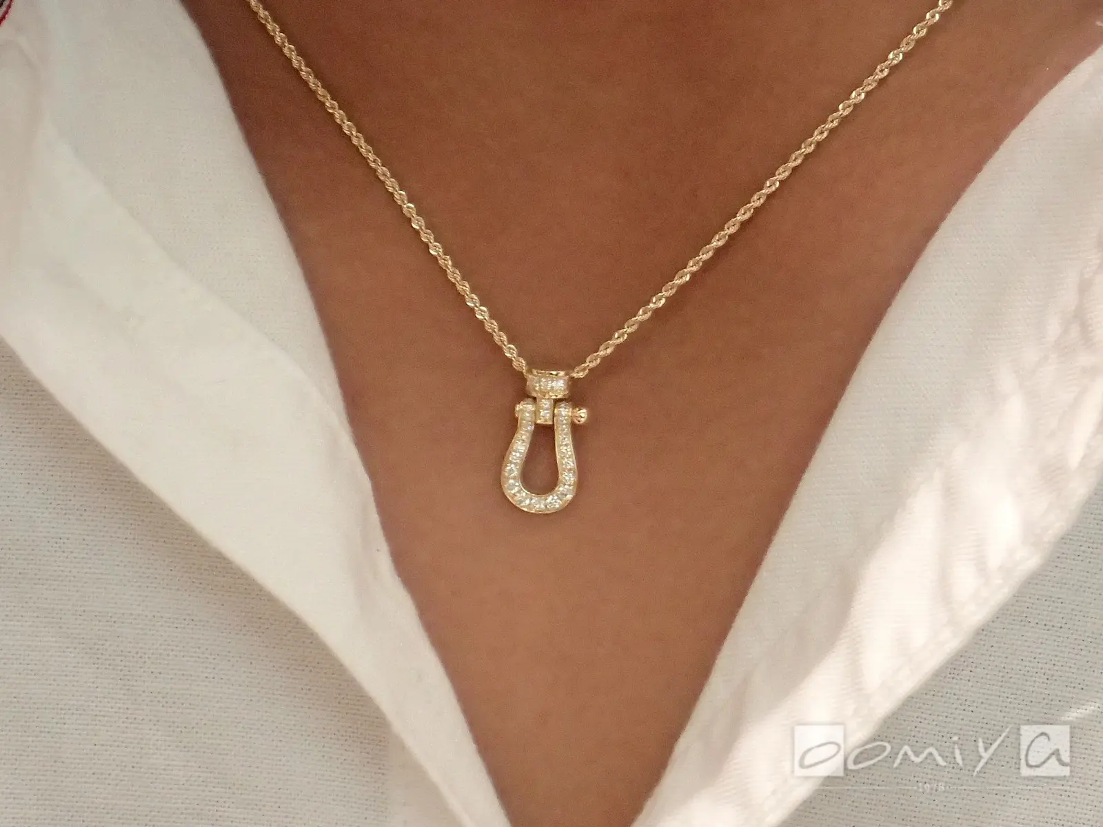 お客様の声：2021年05月30日K 様 フレッド | 和歌山本店