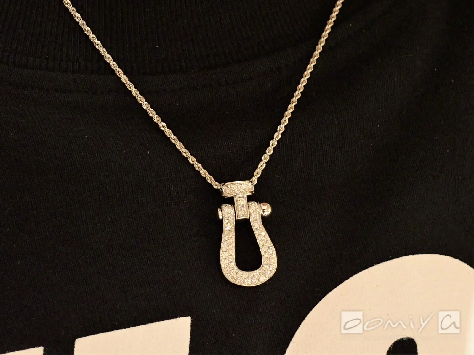 お客様の声：2021年09月28日I.A 様 フレッド | 和歌山本店