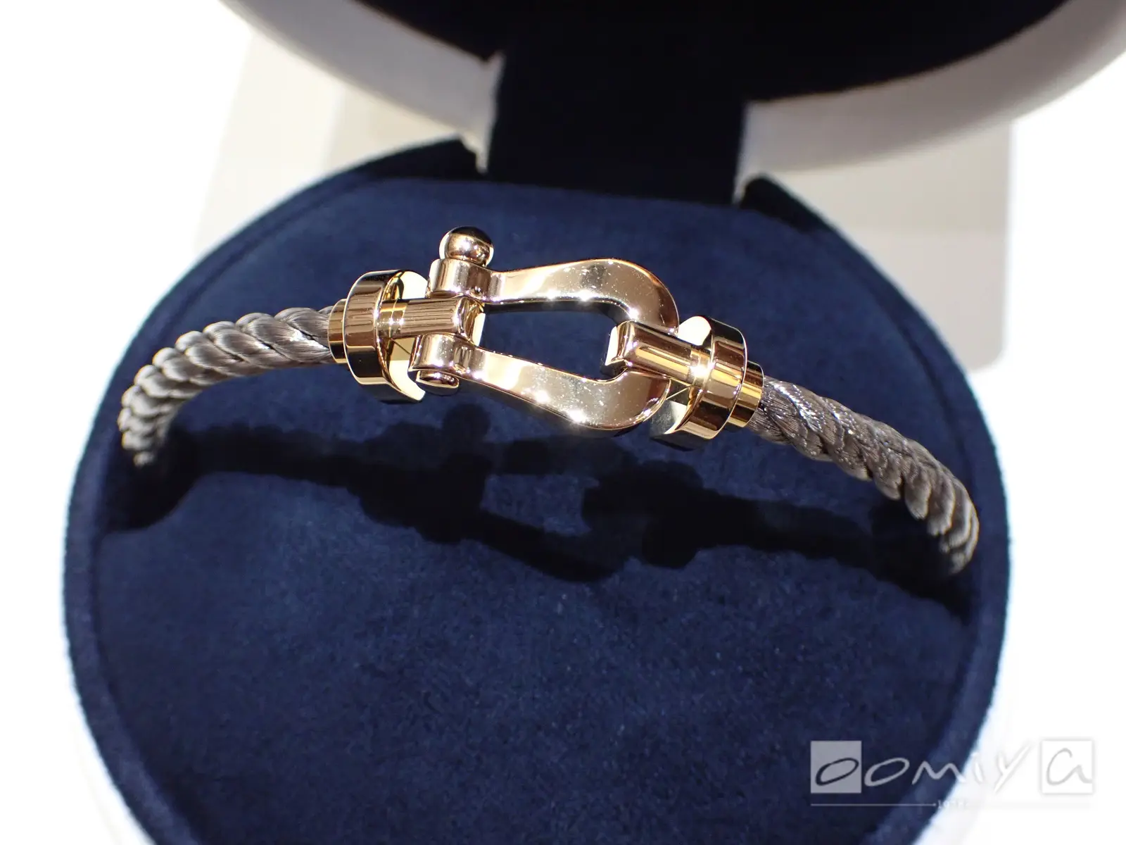 お客様の声：2022年07月18日sky 様 フレッド | 和歌山本店