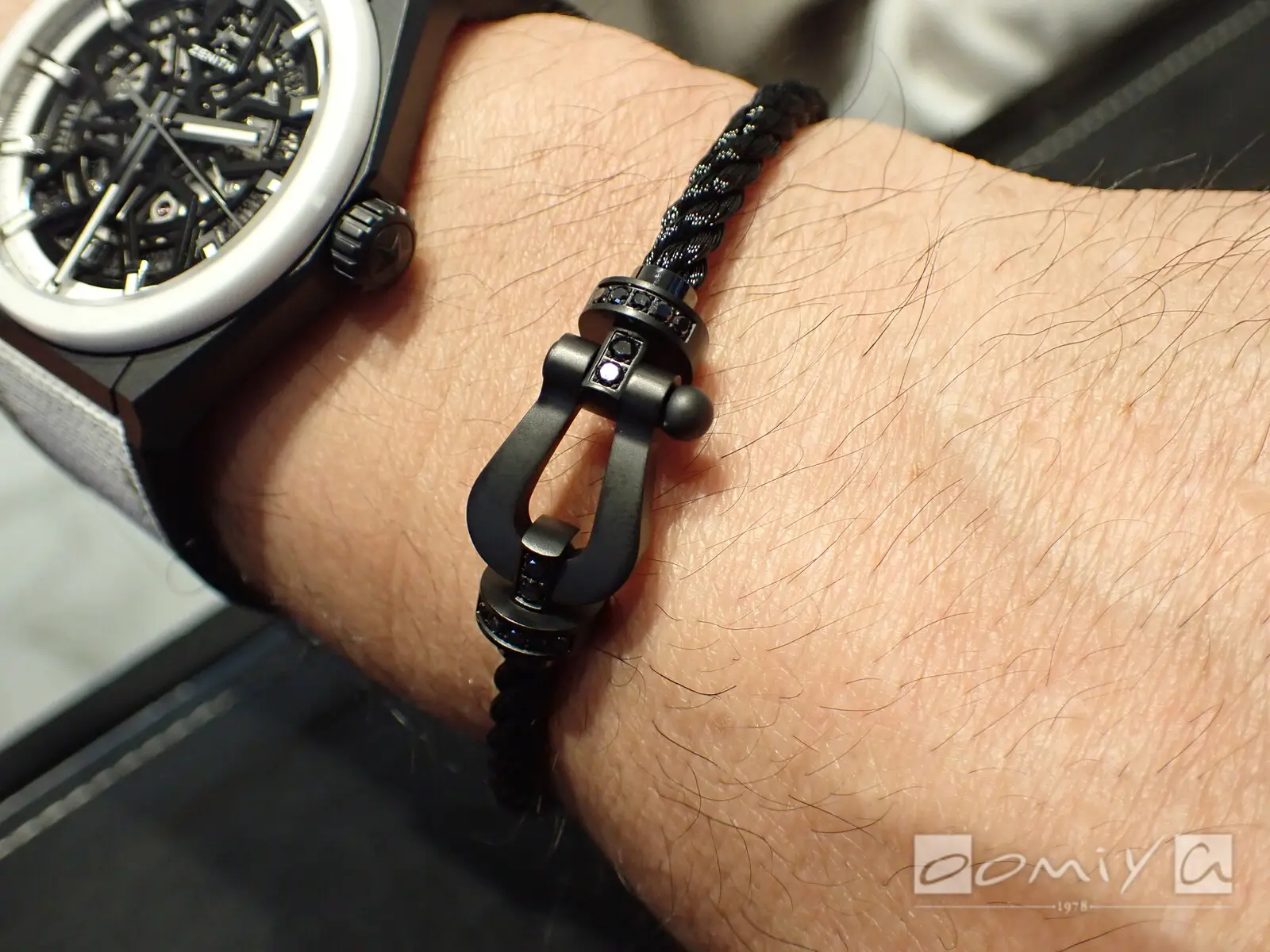 お客様の声：2022年09月19日S 様 フレッド | 和歌山本店