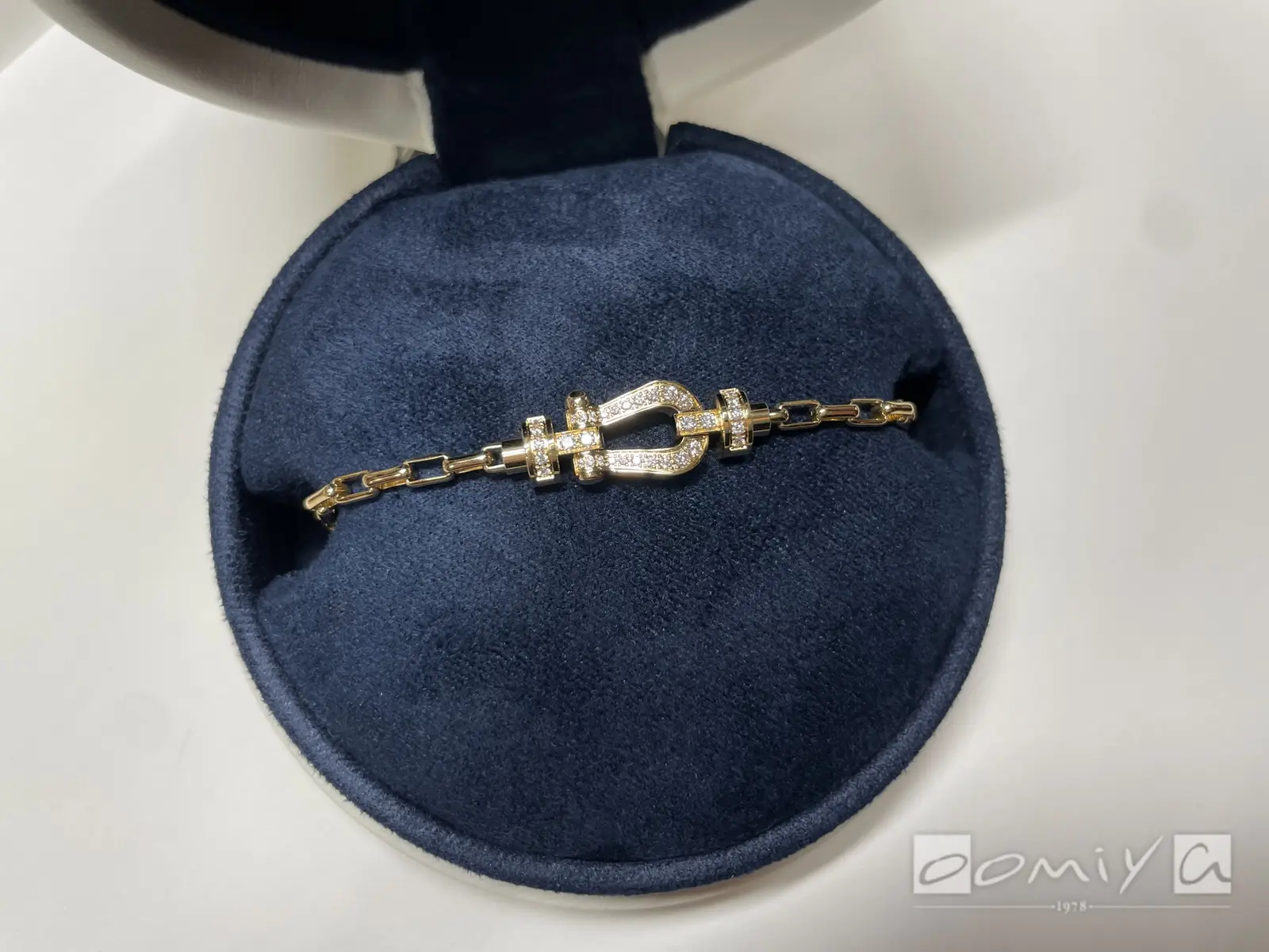 お客様の声：2022年10月30日M 様 フレッド | 和歌山本店