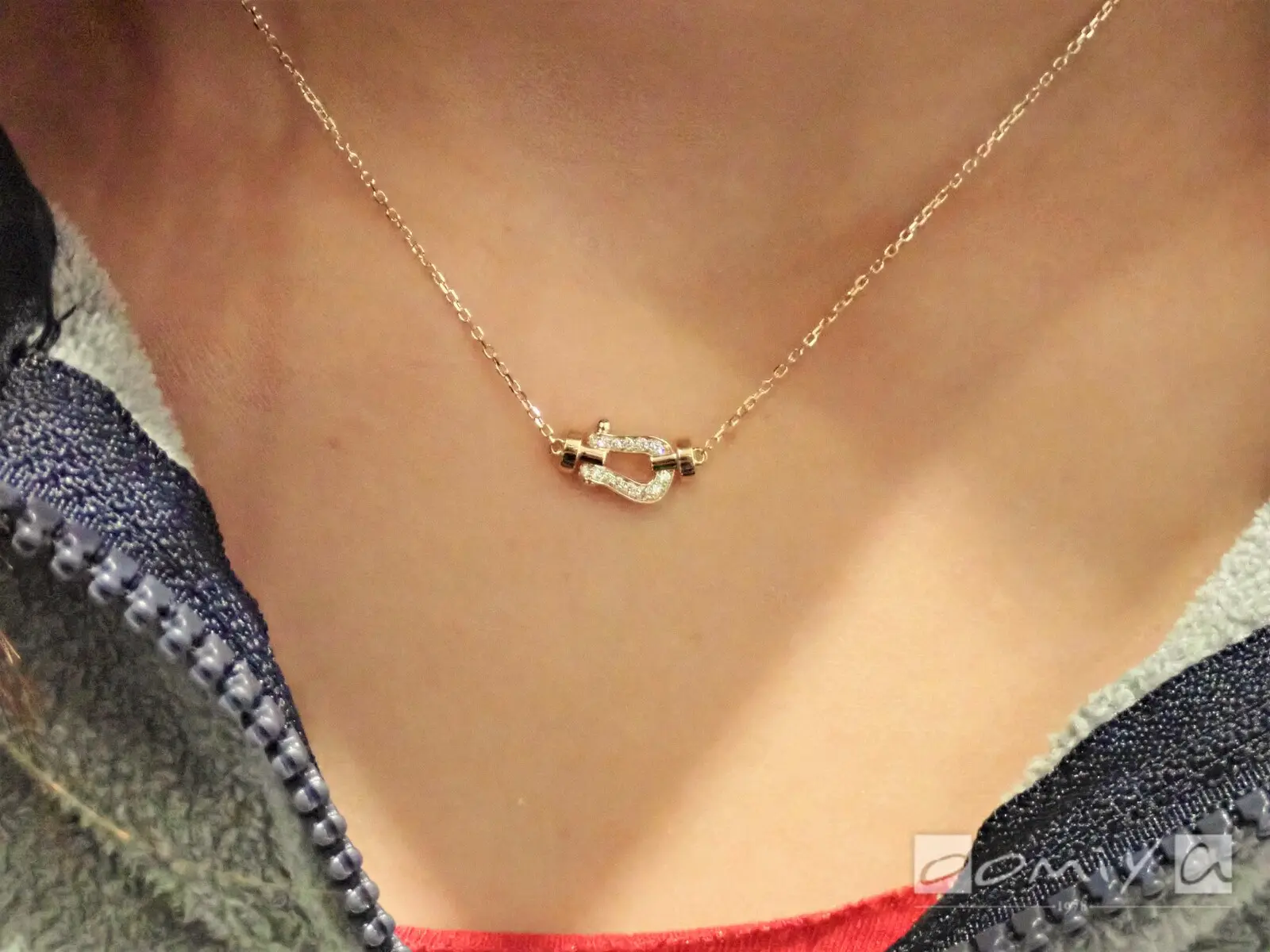 お客様の声：2022年12月24日m 様 フレッド | 和歌山本店