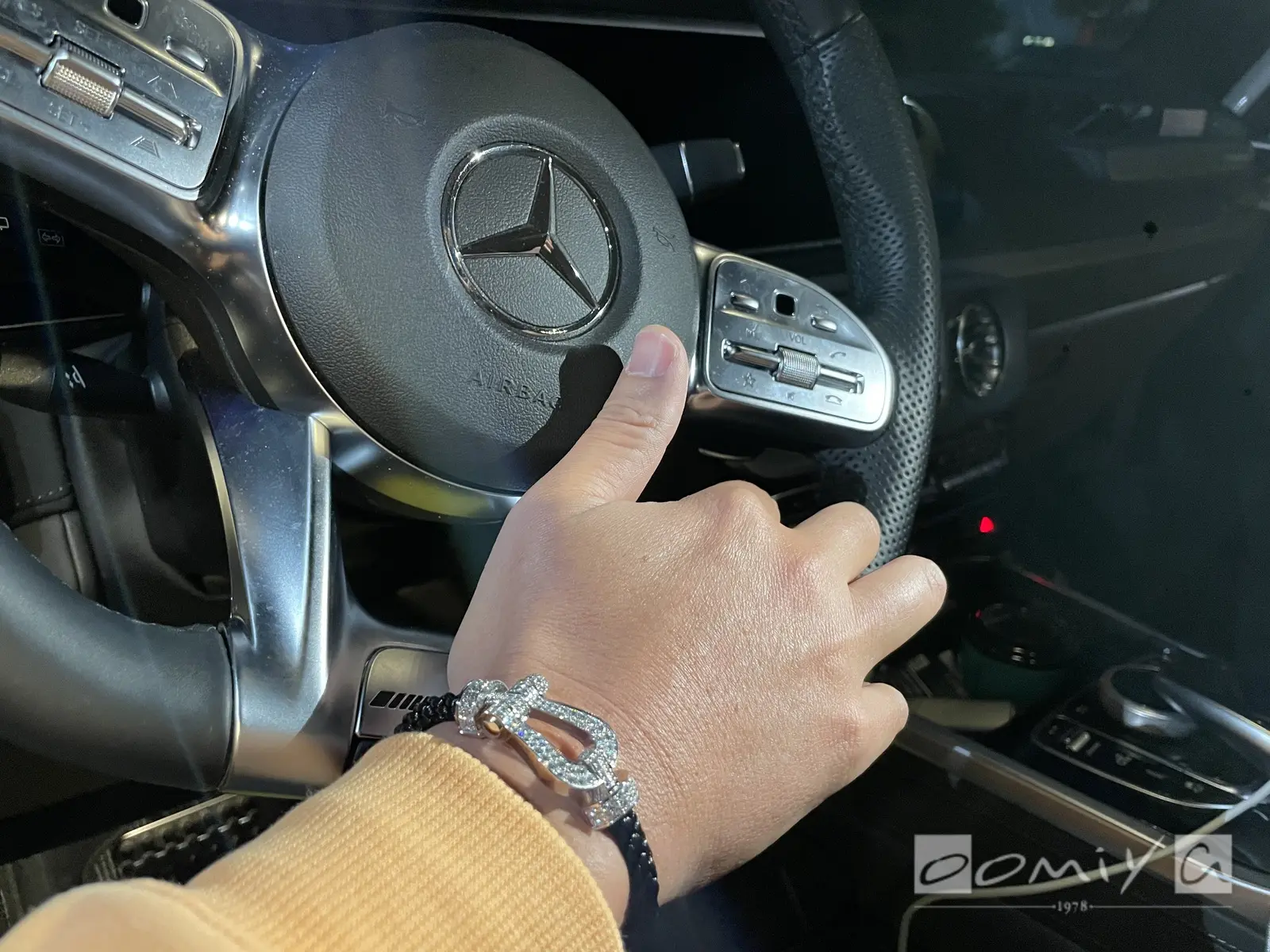 お客様の声：2023年03月19日M 様 フレッド | 和歌山本店