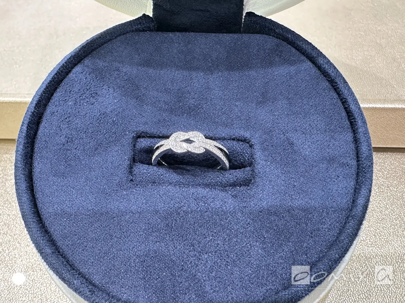 お客様の声：2023年06月11日M 様 フレッド | 和歌山本店