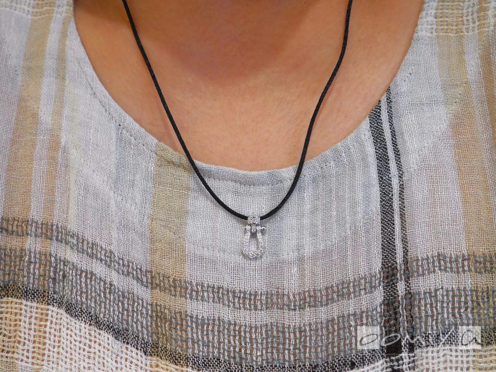 お客様の声：2023年08月05日ゆず 様 フレッド | 和歌山本店