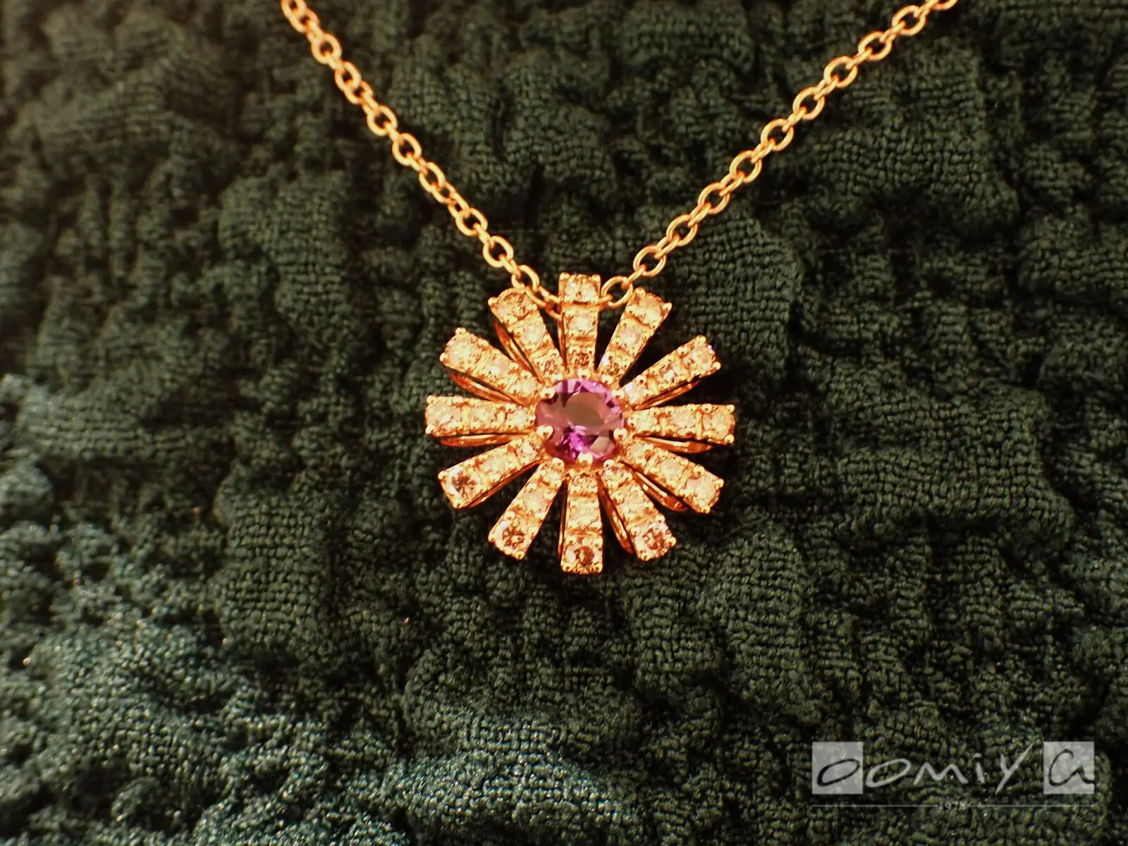 お客様の声：2024年04月28日K 様 ダミアーニ | 和歌山本店