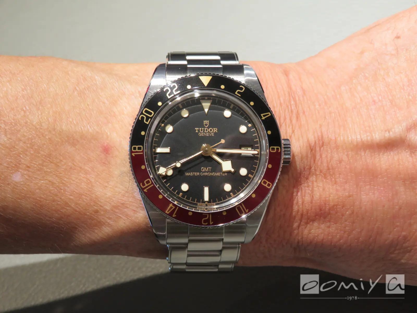 お客様の声：2025年10月12日ぶんちゃん 桜島 様 チューダー