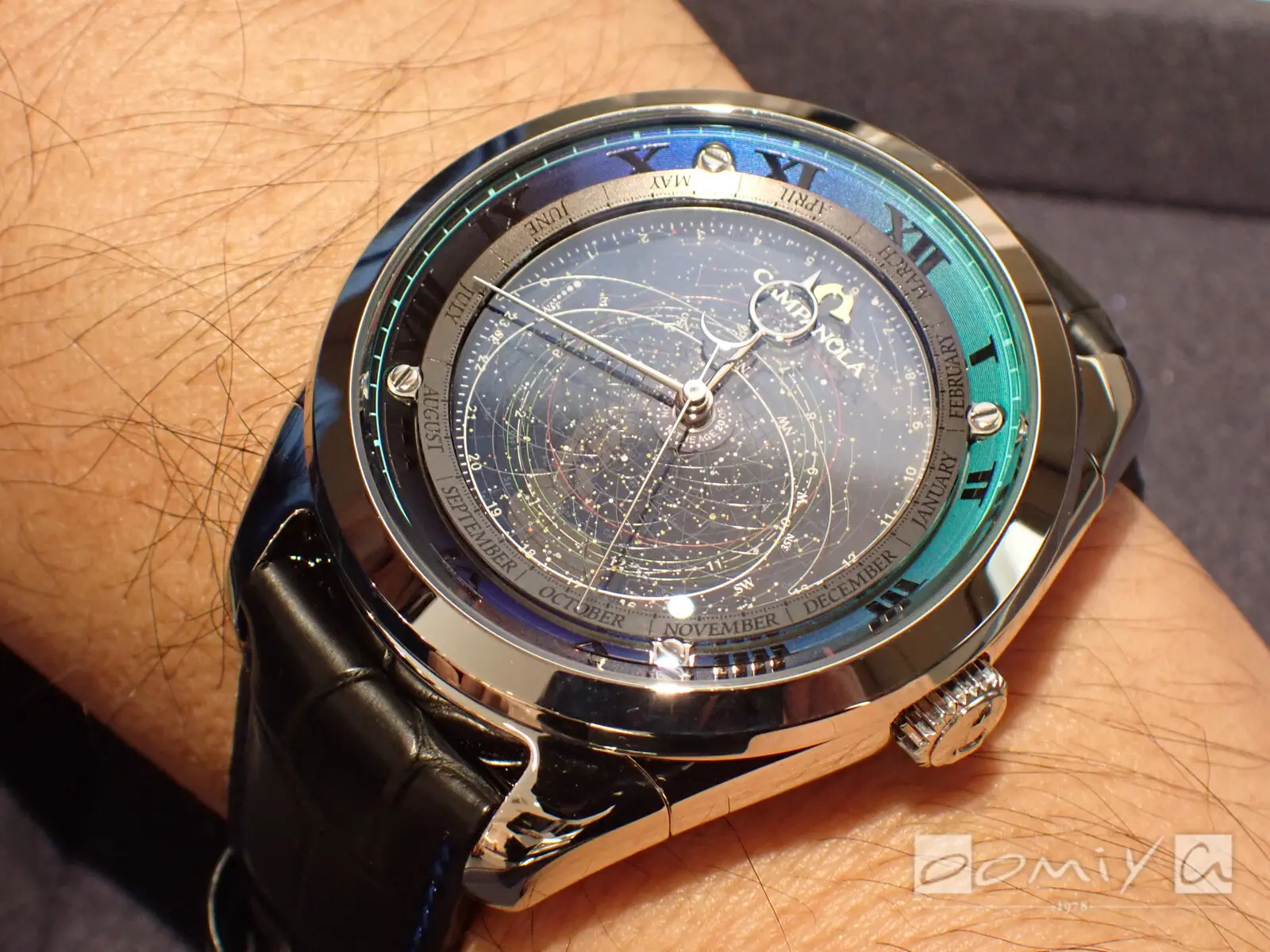 お客様の声：2025年12月28日QW 様 シチズン カンパノラ | 和歌山本店